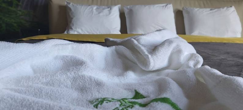 基尼皮 Spa 北方住宿酒店(Kinipi Spa Nordique et hébergement)图片