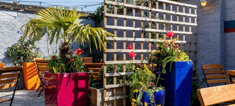 车站酒店(The Station Hotel)图片