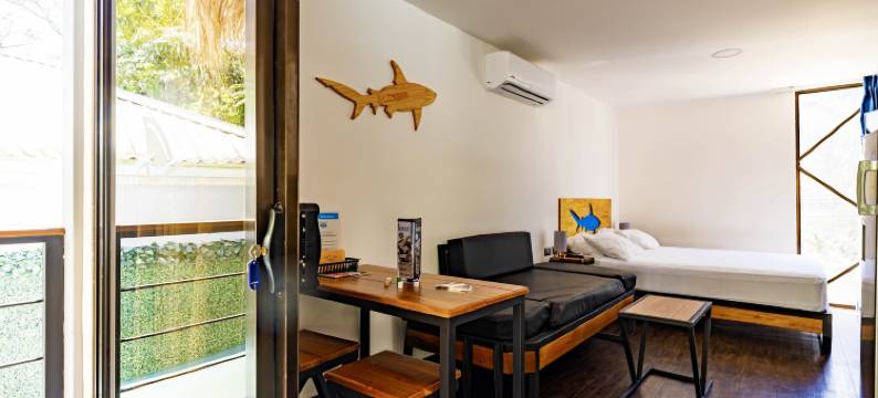 马尔帕伊斯鲨鱼镇(Shark Town Mal Pais)图片