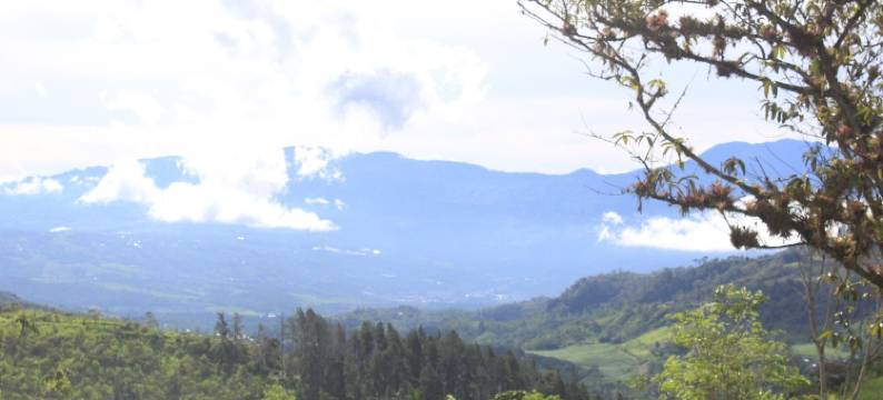 卡巴纳斯科利布里塔尤提克(Cabañas Colibrí Tayutic)图片