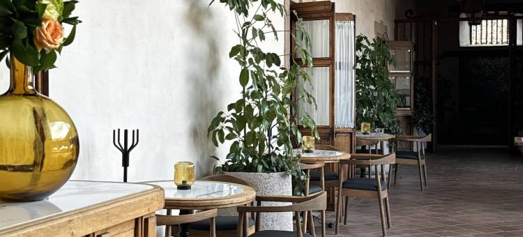 伊巴拉14号酒店(Hotel Ibarra 14)图片