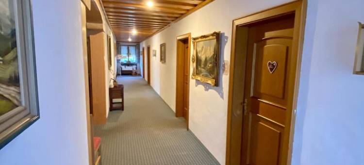 欧恒思泰格宾馆(Gasthof-Hotel Höhensteiger)图片