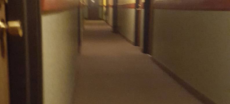 厄斯汽车旅馆 - 杰克逊(Earth Inn Motel - Jackson)图片