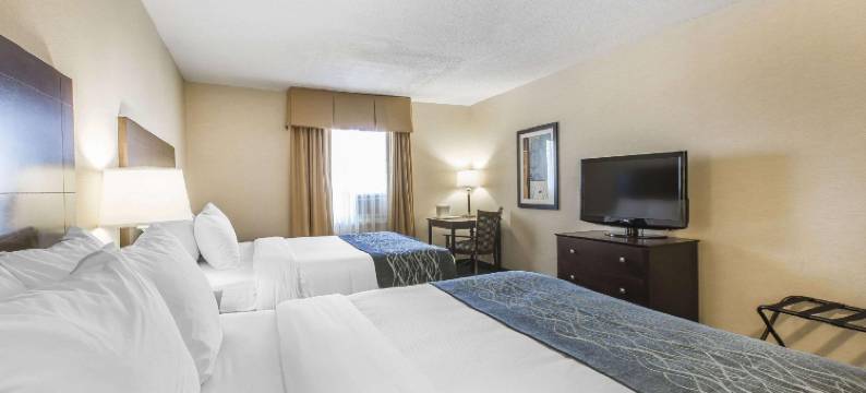 舒适酒店(Comfort Inn - Gander)图片