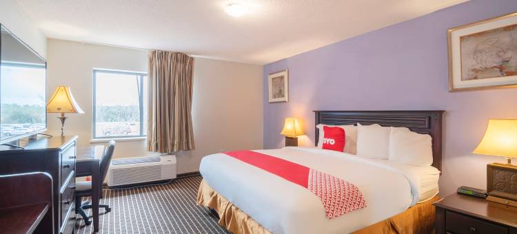 OYO休斯敦机场北酒店(OYO Townhouse Houston Airport North)图片