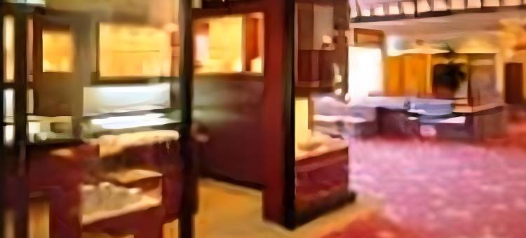 滨离宫酒店(Hotel Hamarikyu)图片