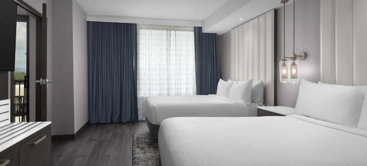 希尔顿大使套房鸽子谷度假村(Embassy Suites by Hilton Pigeon Forge Resort)图片
