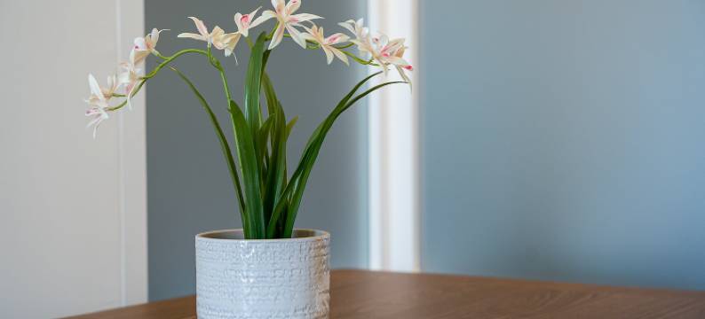 GuestReady - Estadia elegante no centro do Porto图片