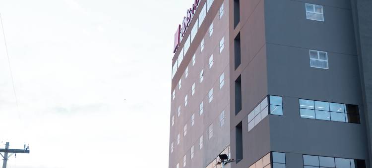 宜必思沃图波兰加酒店(Ibis Votuporanga)图片