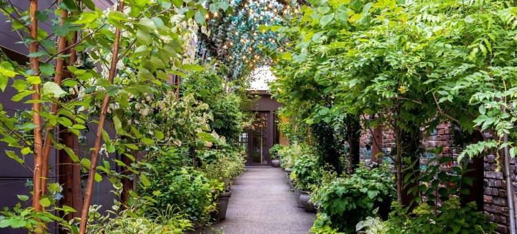 诺摩苏豪酒店(NoMo SoHo)图片