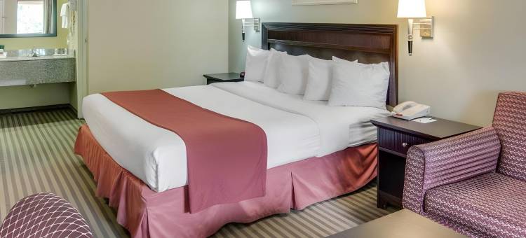 芒特普莱森特凯艺酒店(Quality Inn Mt. Pleasant)图片