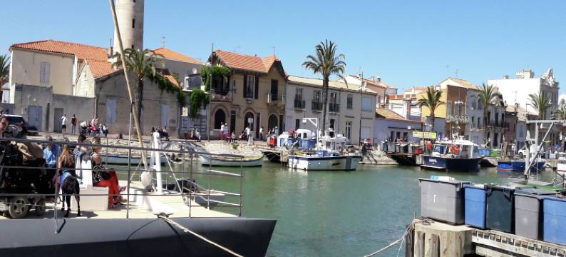 Mediterranean Garden Retreat图片