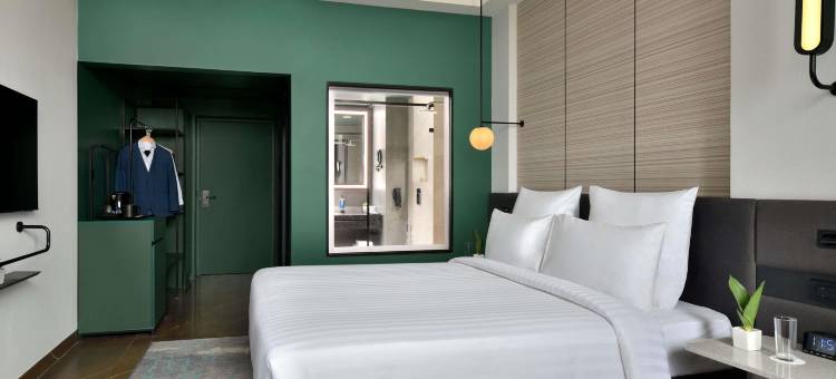 诺富特焦特布尔 ITI 圆环酒店(2023 年 4 月开业)(Novotel Jodhpur Iti Circle)图片