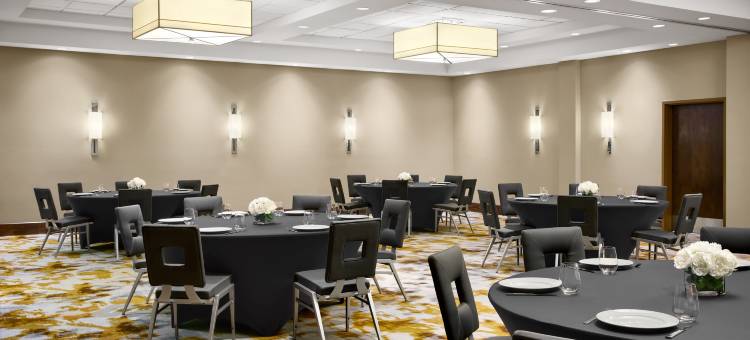 达拉斯理查森希尔顿花园酒店(Hilton Garden Inn Dallas/Richardson)图片