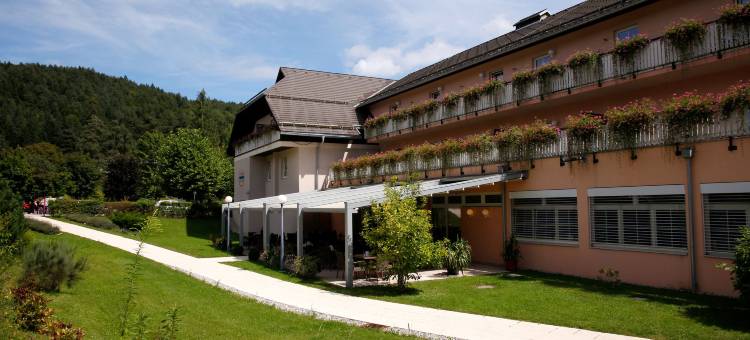 哈夫纳湖太阳酒店(Sonnenhotel Hafnersee)图片