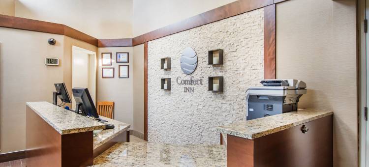 巴瑟斯特舒适酒店(Comfort Inn)图片