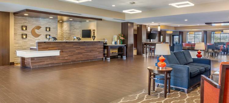 辛辛那提南部弗洛伦斯舒适套房酒店(Comfort Suites Florence - Cincinnati South)图片