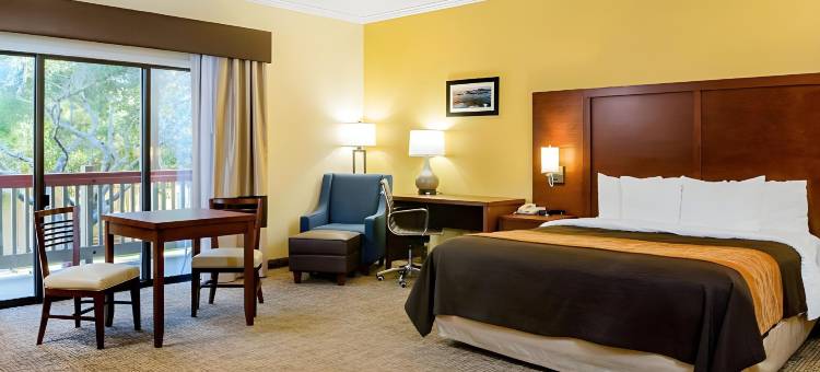 蒙特雷半岛机场舒适酒店(Comfort Inn Monterey Peninsula Airport)图片