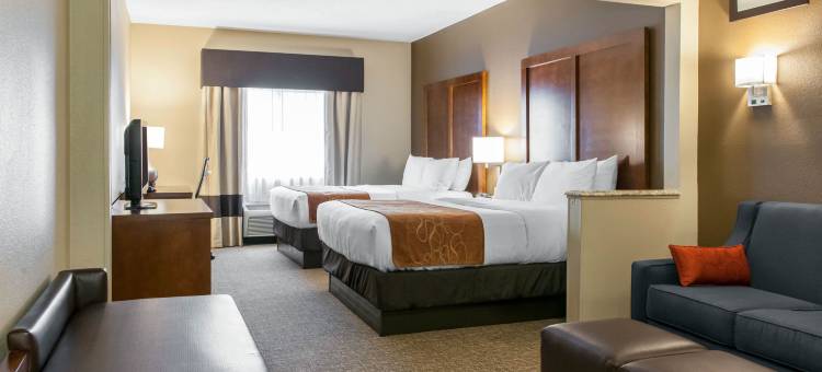 特雷霍特大学区舒适套房酒店(Comfort Suites Terre Haute University Area)图片