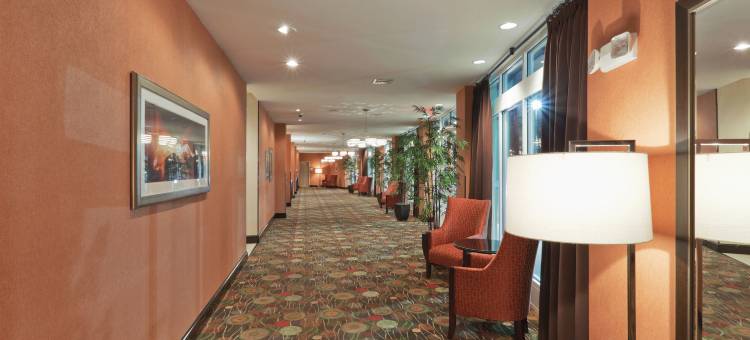 东么利迪恩I 59 / I 20假日酒店(Holiday Inn Meridian E - I 20/I 59)图片