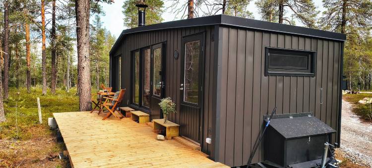 北极光(Borealis)图片