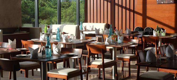 塔曼纳行政 大酒店(Executive Tamanna Hotel Hinjawadi, Pune)图片