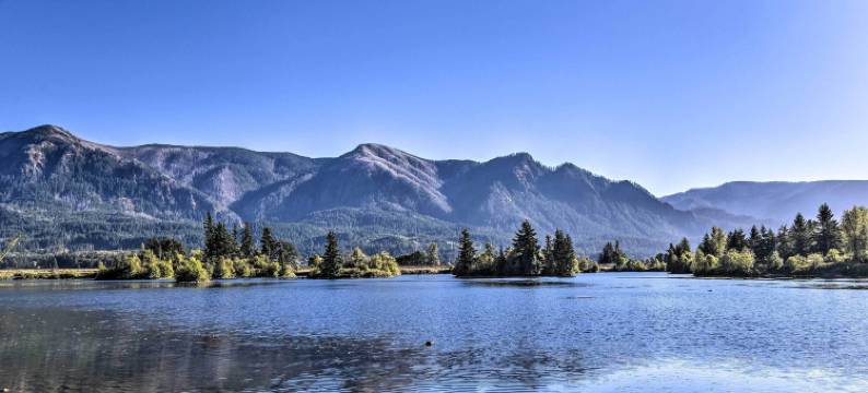 令人惊叹的斯蒂文森度假村，带山景！(Stunning Stevenson Retreat w/ Mountain Views!)图片