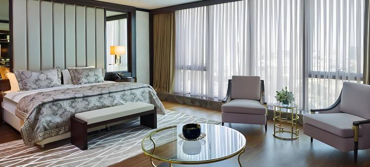 伊斯坦布尔巴森快速路精英世界大酒店(Elite World Grand Istanbul Basın Ekspres)图片