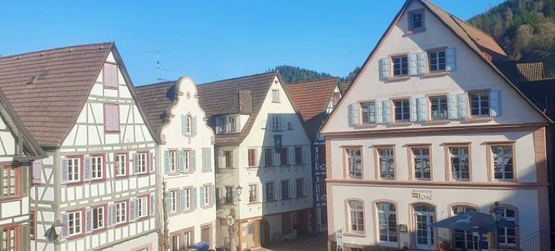 索内旅馆(Gasthof Sonne)图片