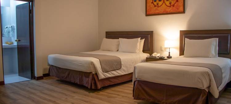 卡拉科托酒店(Hotel Calacoto)图片