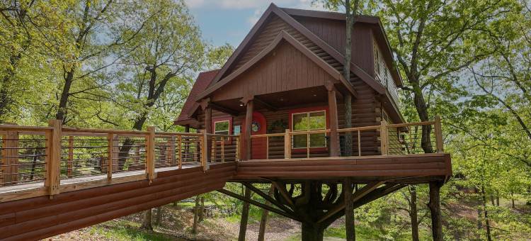 希尔顿俱乐部布兰森雪松岭度假村(Hilton Grand Vacations Club Branson Cedars Ridgedale)图片
