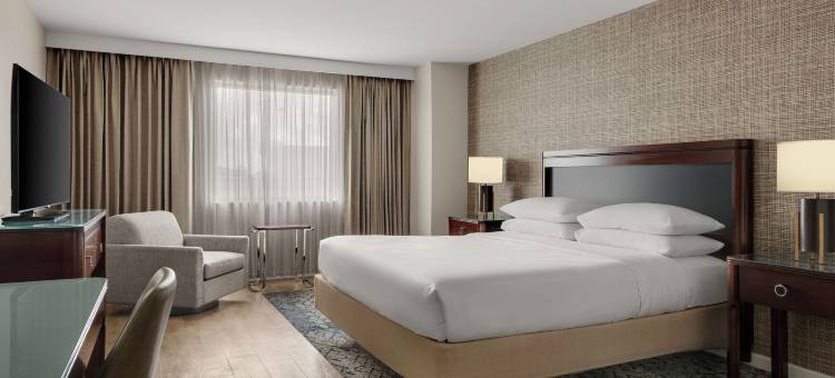 梅泰里新奥尔良喜来登酒店(Sheraton Metairie - New Orleans Hotel)图片
