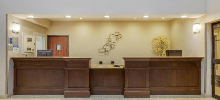 智选假日酒店 - 休斯顿北冠区1960(Best Western Champions Forest Inn and Suites)图片