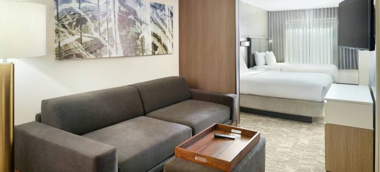 亚特兰大六旗游乐园万豪SpringHill酒店(SpringHill Suites Atlanta Six Flags)图片