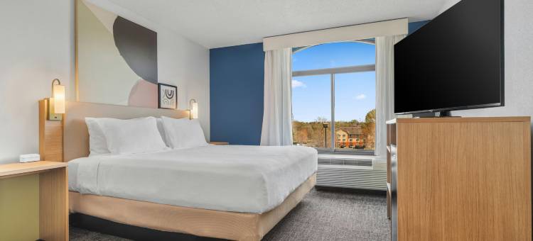 夏洛特泰沃拉路I-77高速公路希尔顿Spark酒店(Spark by Hilton Charlotte Tyvola I-77)图片