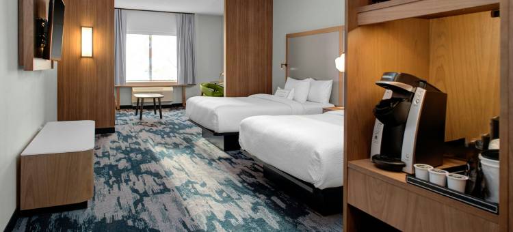 罗阿诺克塞勒姆万枫酒店及套房(Fairfield Inn & Suites Roanoke Salem)图片