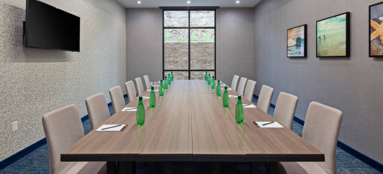 San Diego 埃斯孔迪多/Downtown SpringHill Suites酒店(SpringHill Suites San Diego Escondido/Downtown)图片