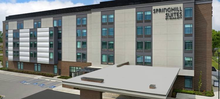 列克星敦弗里茨农场SpringHill Suites酒店(SpringHill Suites Lexington Fritz Farm)图片