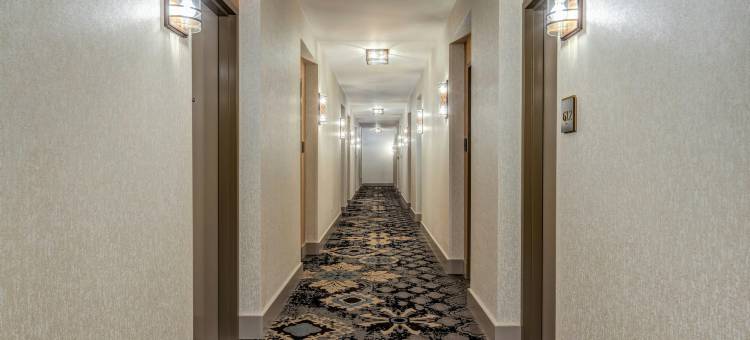 芝加哥中央环线希尔顿花园酒店-伊利诺伊州(Hilton Garden Inn Chicago Central Loop)图片