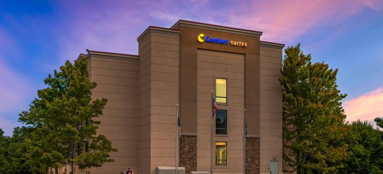 舒适套房酒店-诺曼湖亨特斯维尔(Comfort Suites Lake Norman - Huntersville)图片