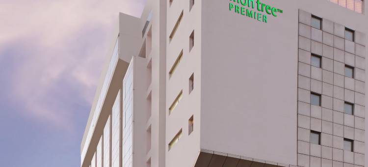 齐普尔柠檬树尊贵酒店(Lemon Tree Premier, Jaipur)图片