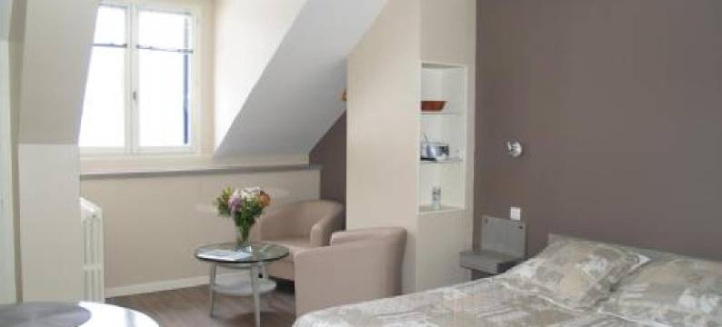 奥克斯派克一室公寓酒店(Aux Studios du Parc)图片