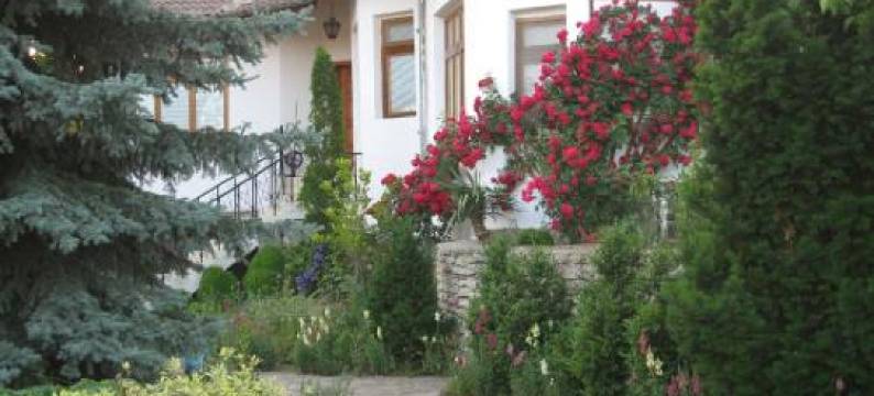 Guest House Astra图片