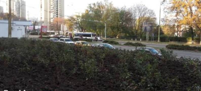 Apartment on Dacia图片