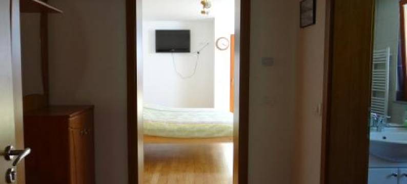 特布萨克公寓(Apartments Trebušak)图片