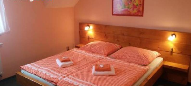 Wellness Penzion Palice图片