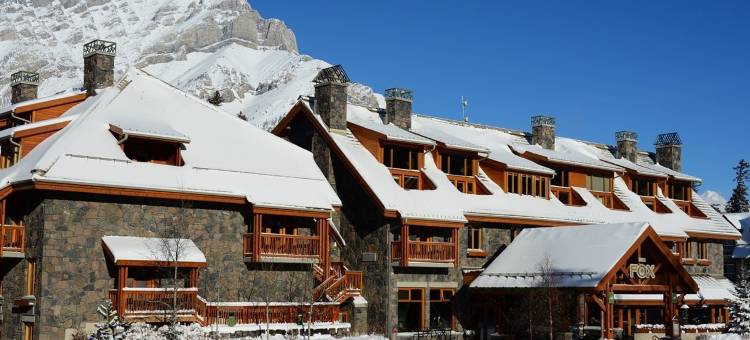 福克斯套房酒店(Fox Hotel and Suites)图片