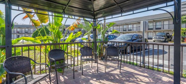 克里尔沃特-但尼丁罗德威酒店(Rodeway Inn Clearwater-Dunedin)图片