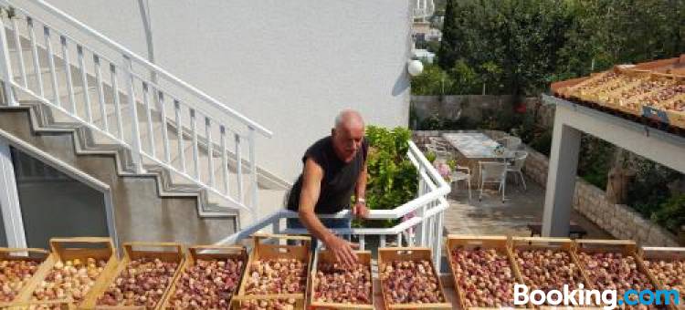 皮娜旅馆(Apartments Pina)图片