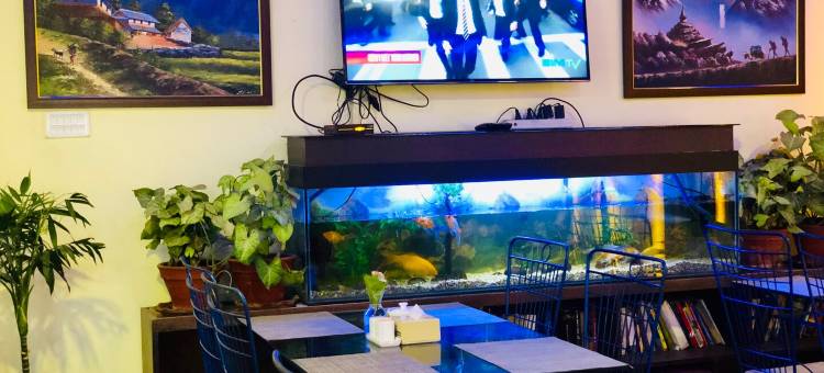 后院酒店(Backyard Hotel)图片